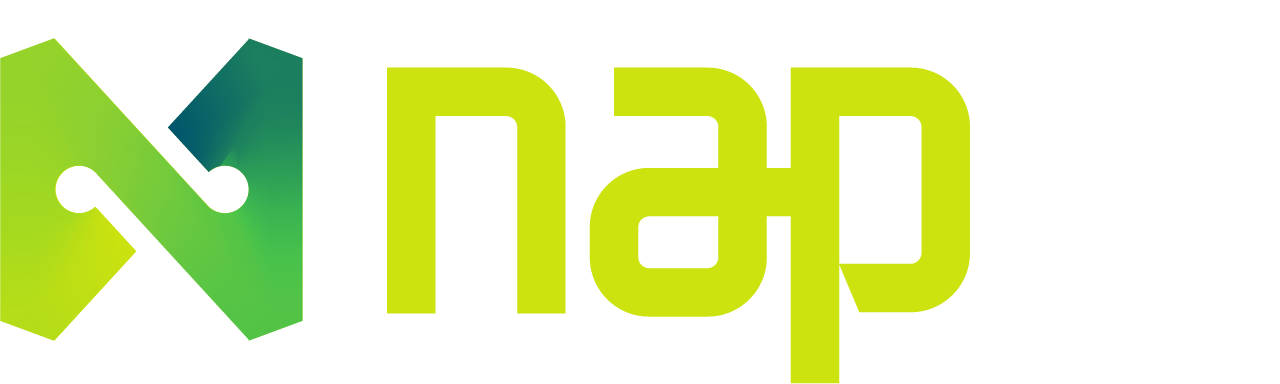 Nap IT – Global Solutions