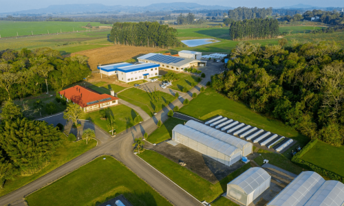 Alliance-One.png Alliance-One.png